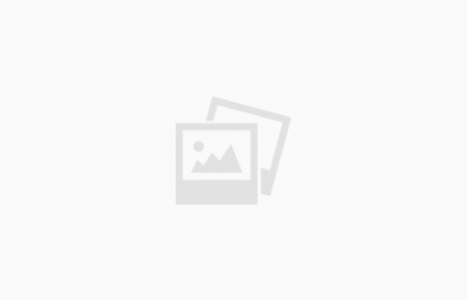 Top Business Recommendations!