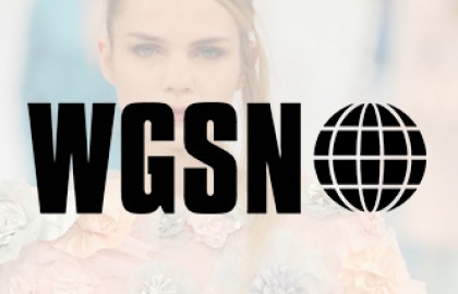 WGSN – GFW 2013